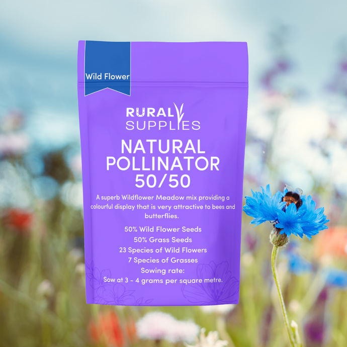 Natural Pollinator 50/50 - Wildflower & Meadow Grasses