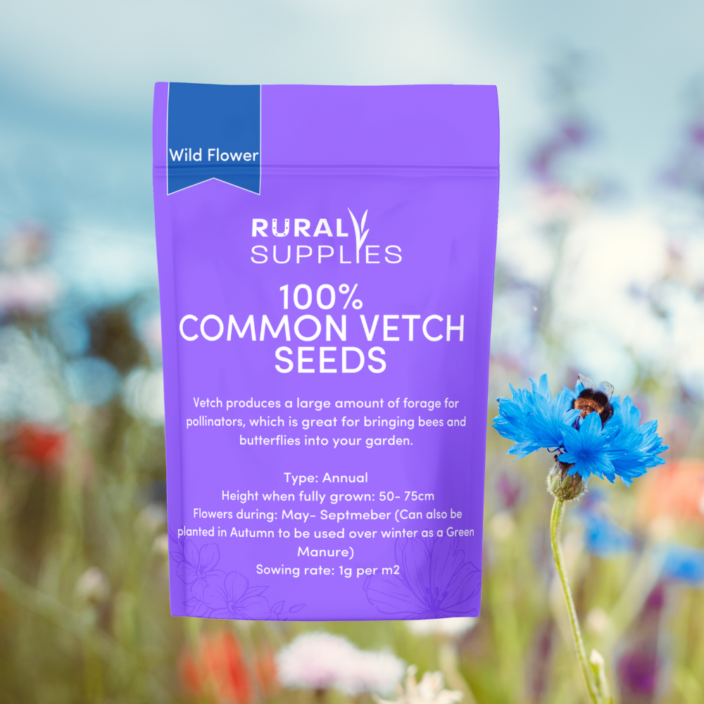 Common Vetch Seed pouch