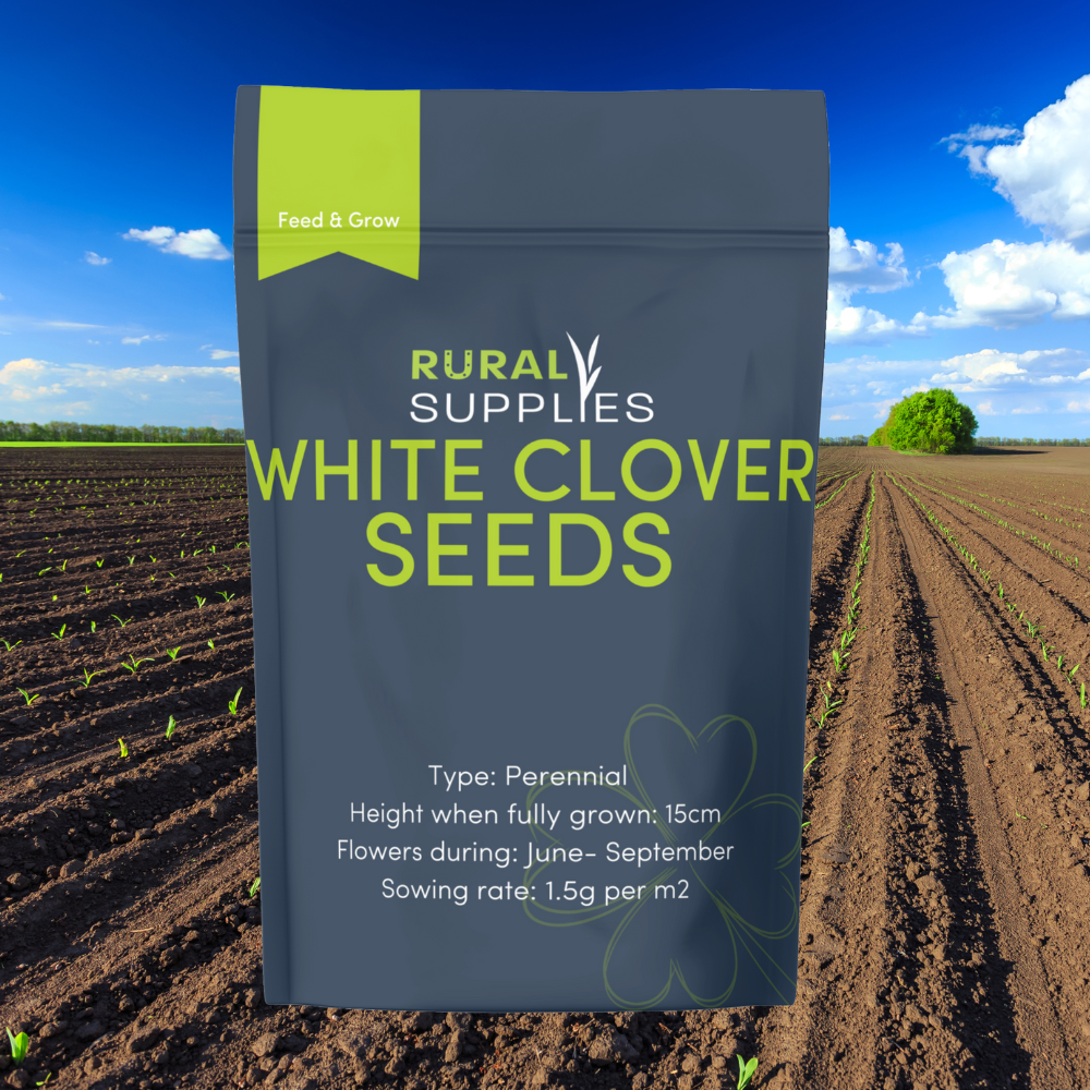 White Clover Seed bag