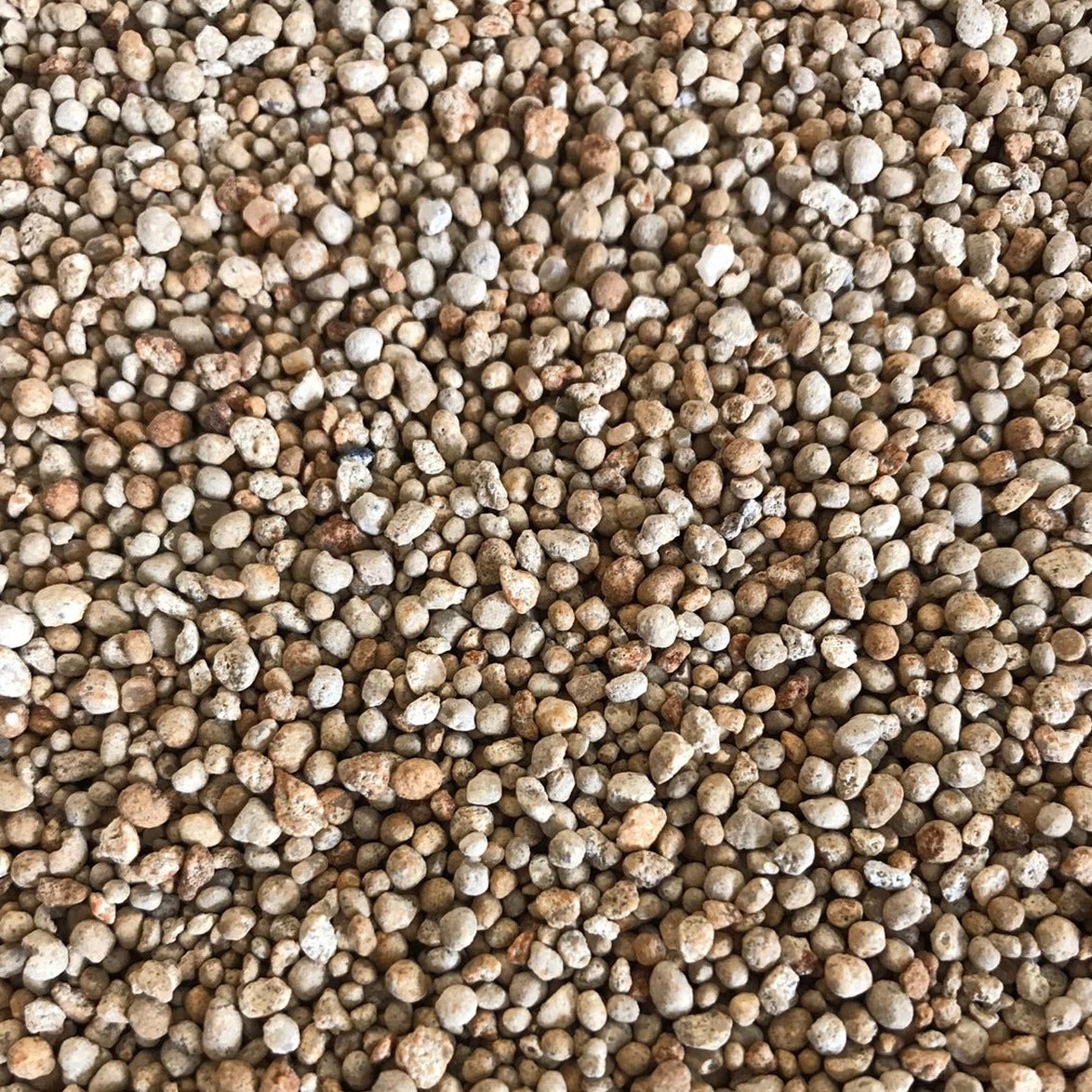 Lawn Feed, Weed & Moss Fertiliser 10-2-2 closeup