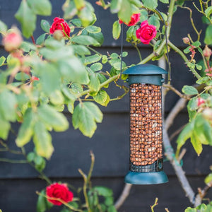 Peanut Bird Feeder