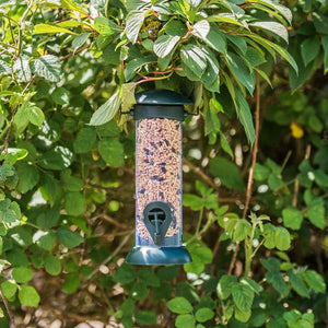 Bird Seed Feeder