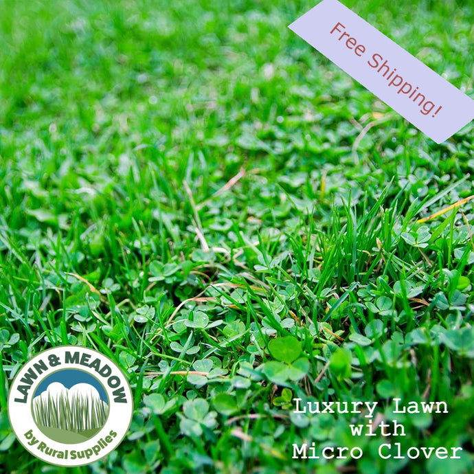 Luxury Micro Clover Lawn  |  Fast Growing  |  Hard Wearing  |  Cottage Lawn Aesthetic  |