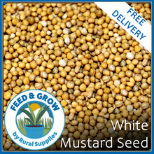 Load image into Gallery viewer, White Mustard Seed
