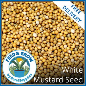 White Mustard Seed