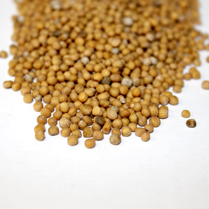 White Mustard Seed