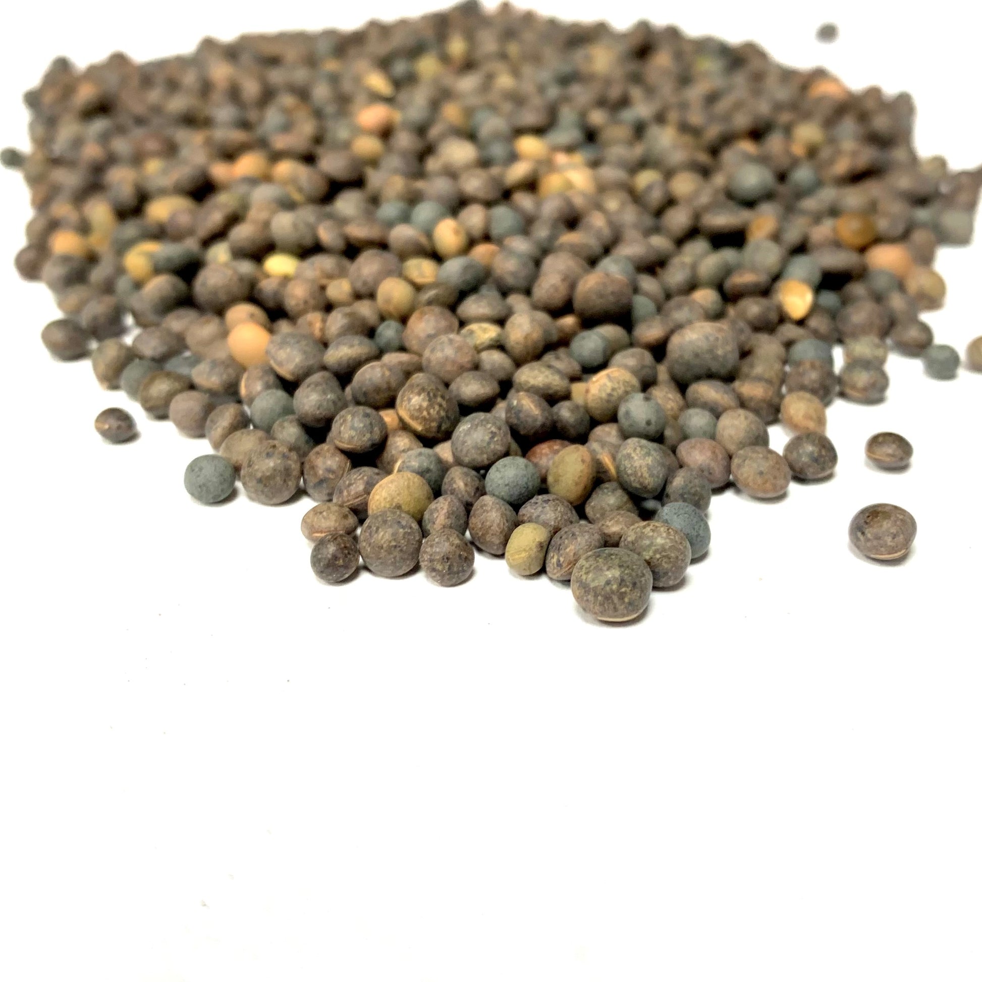 Common Vetch Seeds