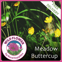 Load image into Gallery viewer, Meadow Buttercup
