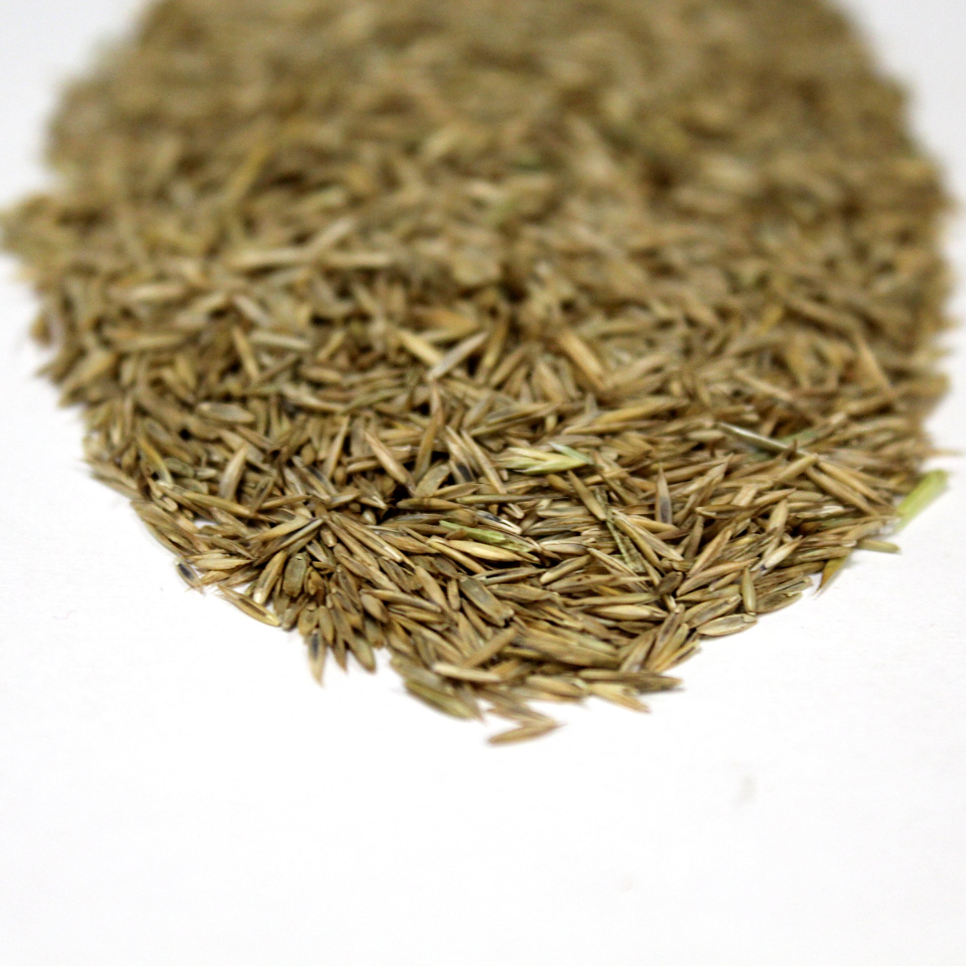 Economy Hard Wearing Lawn Seeds