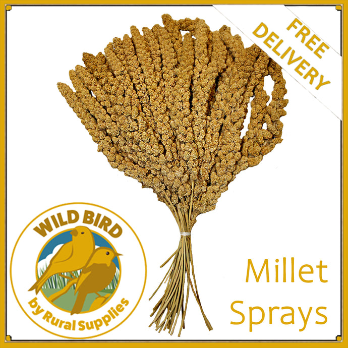 Premium Millet Sprays¦ Budgie ¦ Canary ¦ Finch ¦ Cockatiel ¦ Parrot ¦ Parakeet ¦ Small Pet