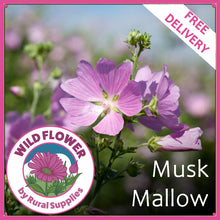 Load image into Gallery viewer, Musk Mallow
