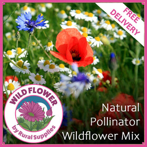 Bees & Butterflies Seed Mix- 100% Wildflowers