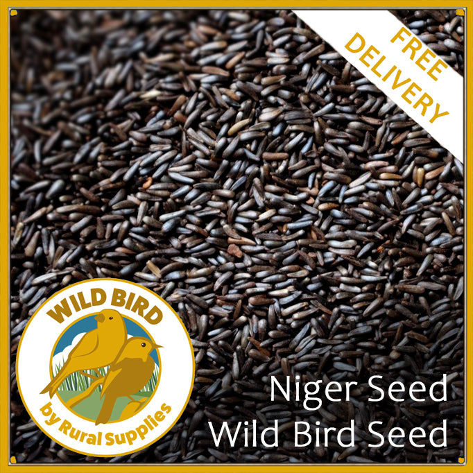 Nyger Seed