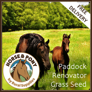 Paddock Renovator Grass Seed