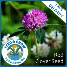 Load image into Gallery viewer, Red Clover Seed
