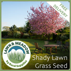 Shady Lawn Seed