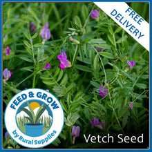 Load image into Gallery viewer, Common Vetch Seed
